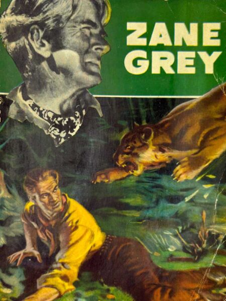 Leones en el Gran Cañón