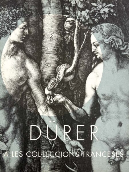 Dürer a les col·leccions franceses