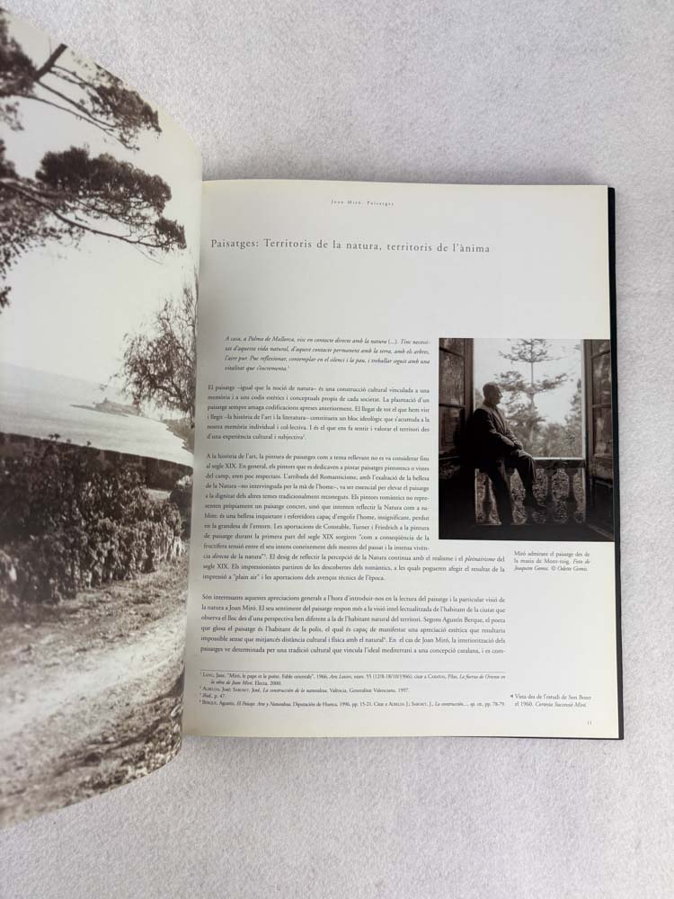 Joan Miró. Paisatges - Imagen 10